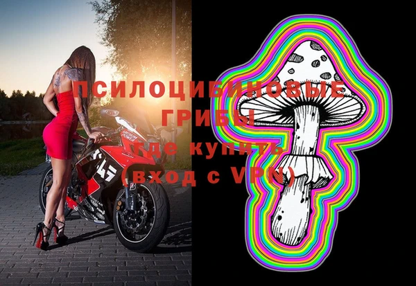 шишки Алексеевка