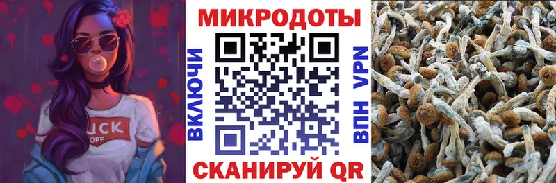 Псилоцибиновые грибы GOLDEN TEACHER Апшеронск