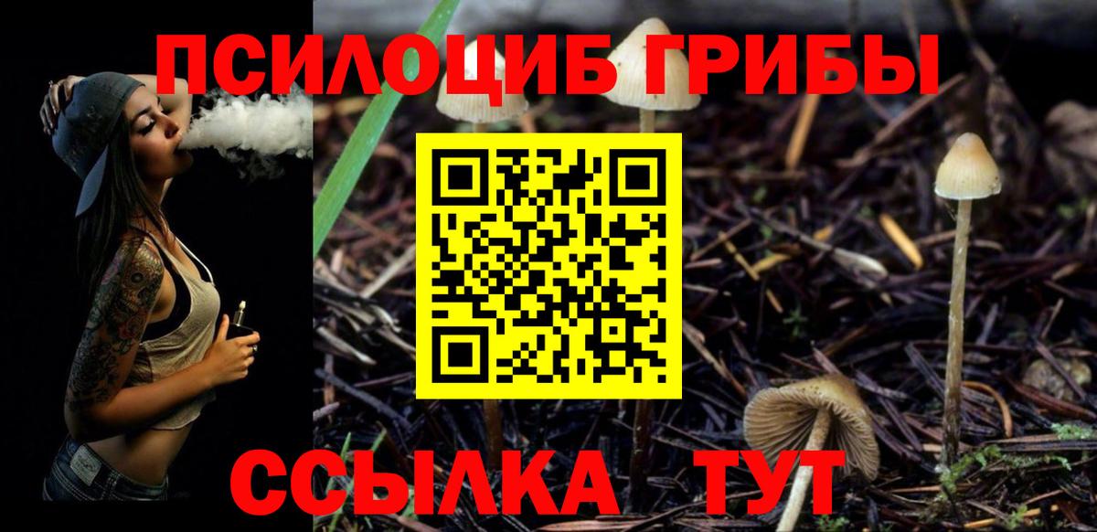 Апшеронск  Псилоцибиновые грибы Psilocybe  Вход с VPN 
