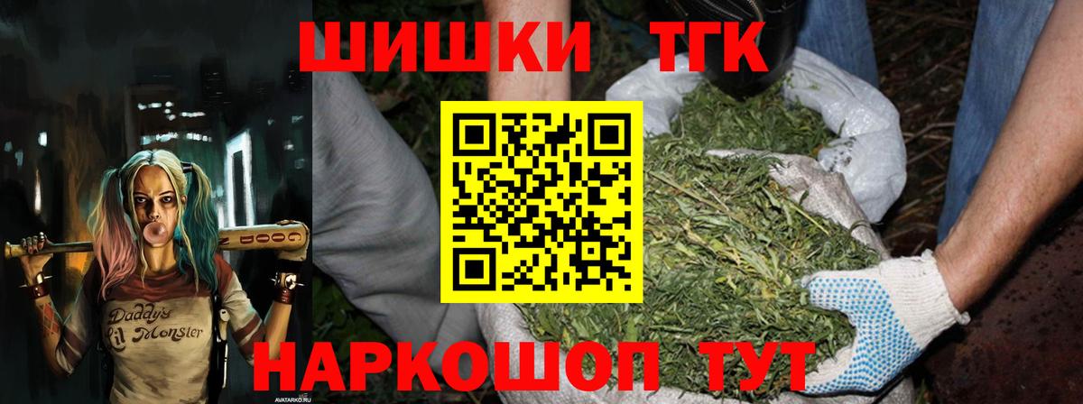 Канабис сатива Апшеронск